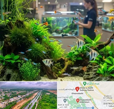 اکواریوم و آبزیان در قصرالدشت شیراز 
