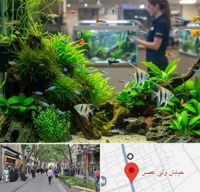اکواریوم و آبزیان در ولیعصر شهریار 