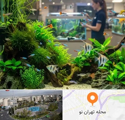اکواریوم و آبزیان در تهران نو