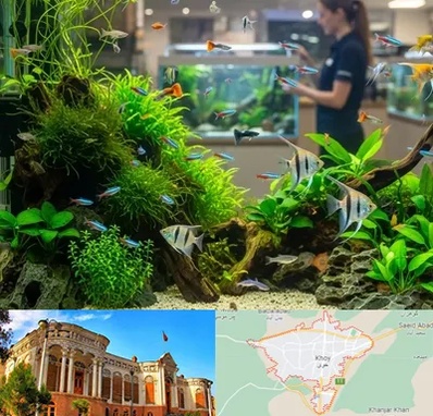 اکواریوم و آبزیان در خوی