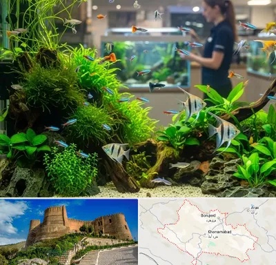 اکواریوم و آبزیان در لرستان
