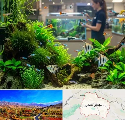 اکواریوم و آبزیان در خراسان شمالی