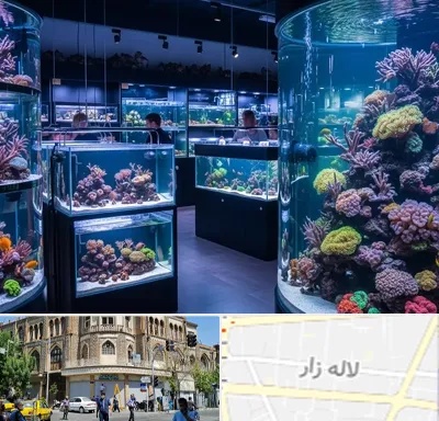 فروش اکواریوم در لاله زار