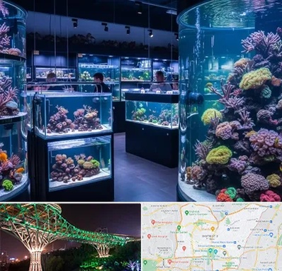 فروش اکواریوم در منطقه 3 تهران 