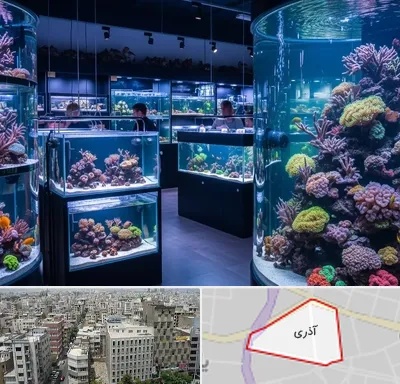 فروش اکواریوم در آذری