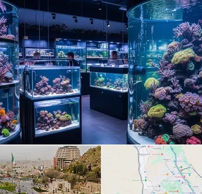 فروش اکواریوم در فرهنگ شهر شیراز