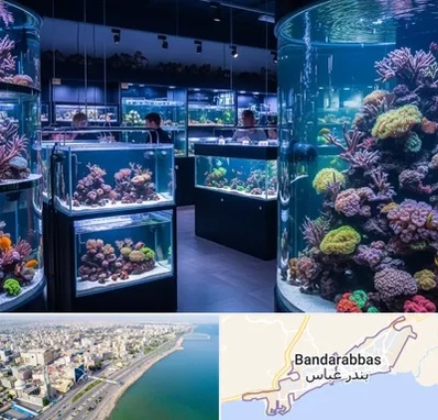 فروش اکواریوم در بندرعباس