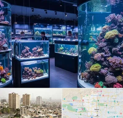فروش اکواریوم در منطقه 5 تهران