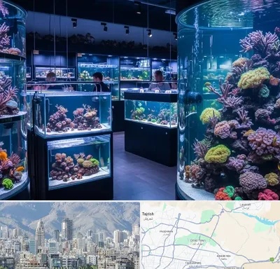 فروش اکواریوم در شمال شرق تهران