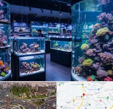 فروش اکواریوم در سبلان 