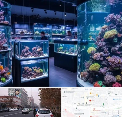 فروش اکواریوم در کارگر شمالی 