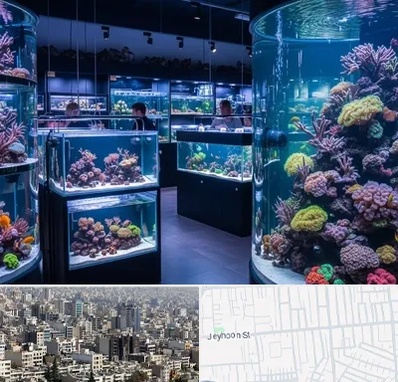 فروش اکواریوم در جیحون 