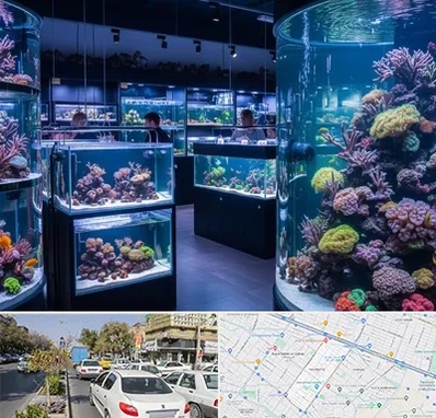 فروش اکواریوم در مفتح مشهد 
