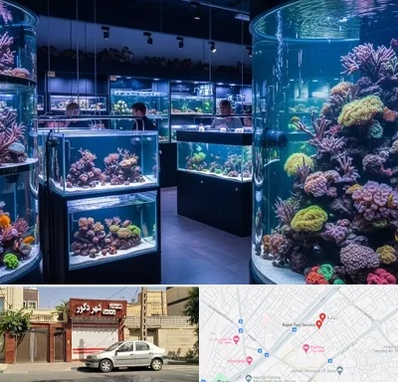 فروش اکواریوم در باجک قم