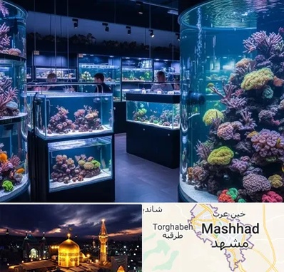 فروش اکواریوم در مشهد