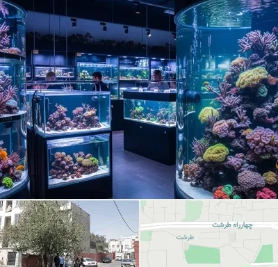 فروش اکواریوم در طرشت