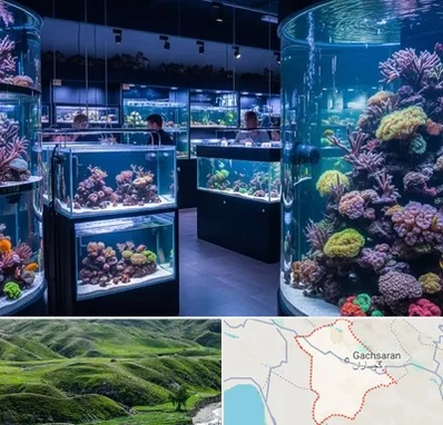 فروش اکواریوم در گچساران