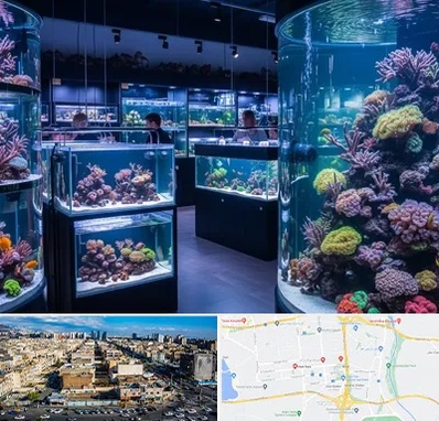 فروش اکواریوم در شهرک راه آهن