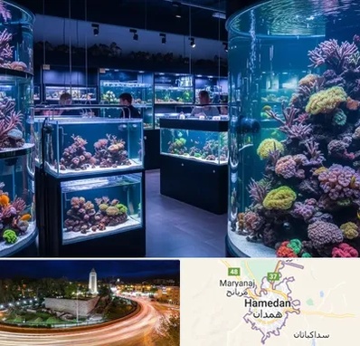 فروش اکواریوم در همدان