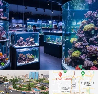 فروش اکواریوم در ونک