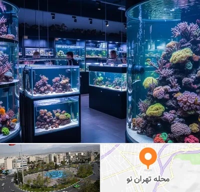 فروش اکواریوم در تهران نو