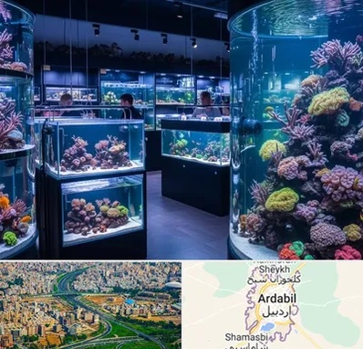 فروش اکواریوم در اردبیل