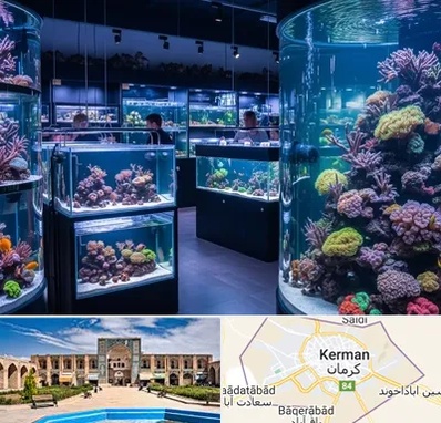 فروش اکواریوم در کرمان