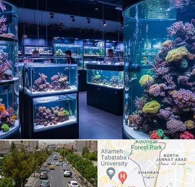 فروش اکواریوم در شهران 