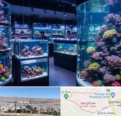 فروش اکواریوم در شهرک گلستان شیراز 