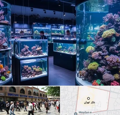 فروش اکواریوم در بازار تهران