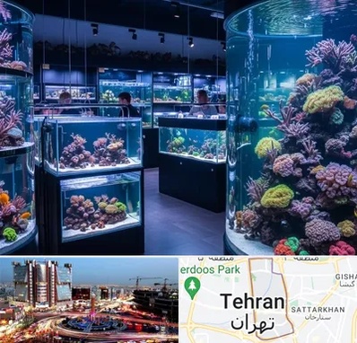 فروش اکواریوم در صادقیه