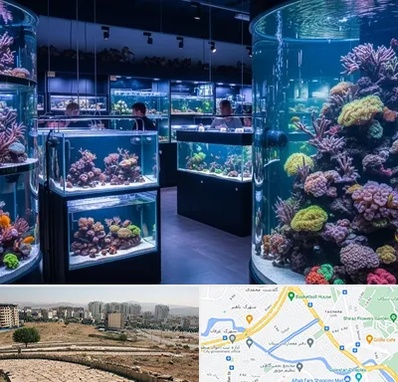 فروش اکواریوم در کوی وحدت شیراز