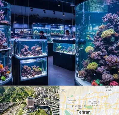 فروش اکواریوم در شمال تهران