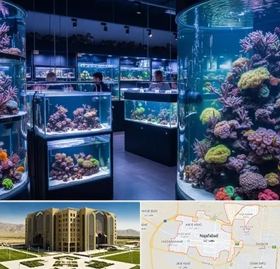 فروش اکواریوم در نجف آباد