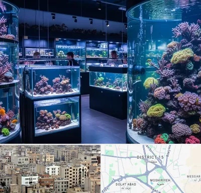 فروش اکواریوم در جنوب شرق تهران