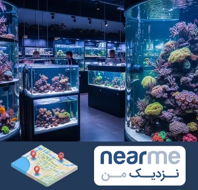 فروش اکواریوم در نزدیک من