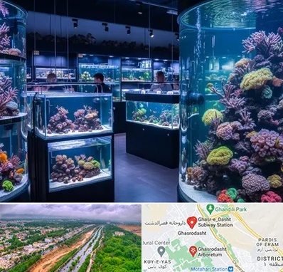 فروش اکواریوم در قصرالدشت شیراز