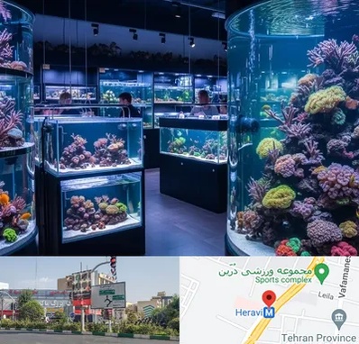 فروش اکواریوم در هروی 