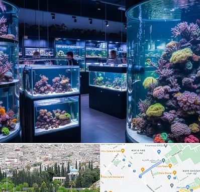 فروش اکواریوم در محلاتی شیراز