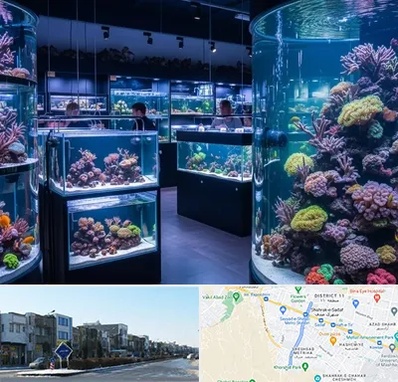 فروش اکواریوم در شریعتی مشهد 