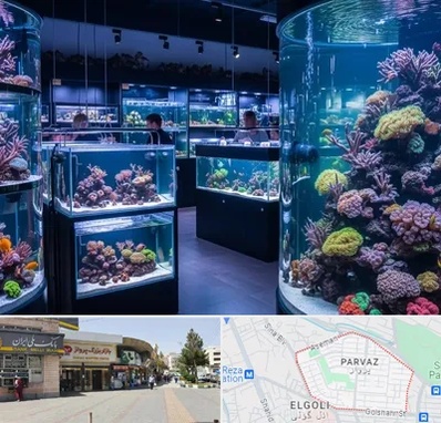فروش اکواریوم در پرواز تبریز