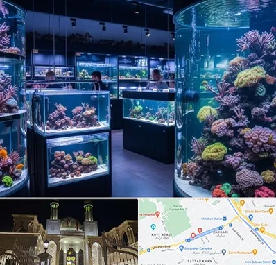 فروش اکواریوم در زرگری شیراز