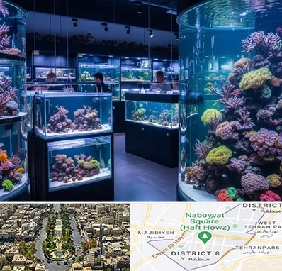 فروش اکواریوم در نارمک 