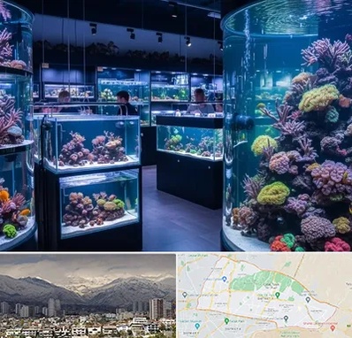 فروش اکواریوم در منطقه 4 تهران