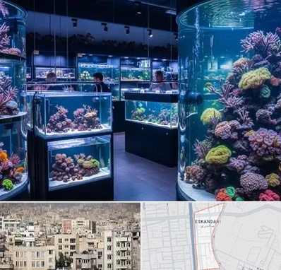 فروش اکواریوم در اسکندری 