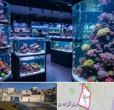 فروش اکواریوم در اتابک