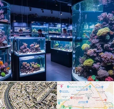 فروش اکواریوم در شهرک غرب مشهد 