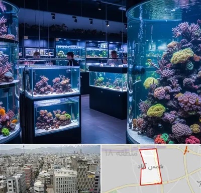 فروش اکواریوم در شمس آباد تهران
