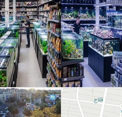 فروش لوازم اکواریوم در فلاح