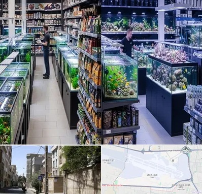 فروش لوازم اکواریوم در مهرآباد 